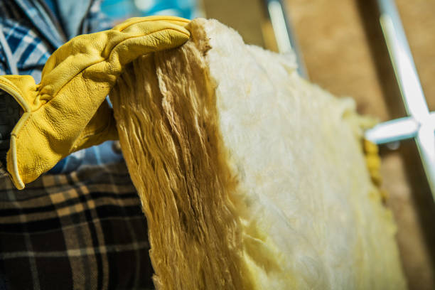 Best Residential Insulation in Windom, MN